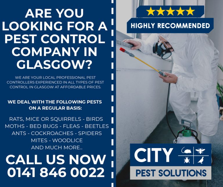 Local Pest Control Company in Glasgow City Pest Solutions