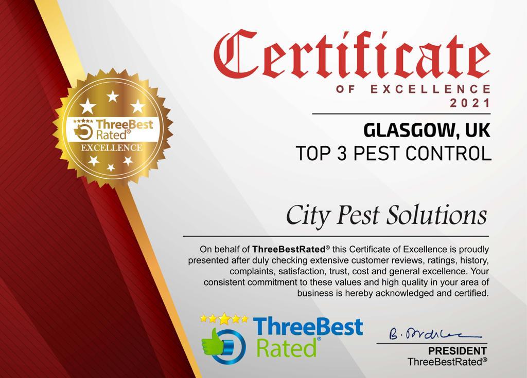 Pest Control Glasgow